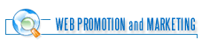 web promotions and marketing, search engine work